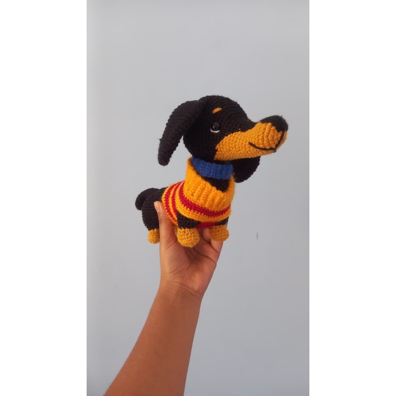 Dachshund in Sweater